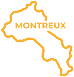 Carte de Lausanne – dépannage informatique à domicile avec DuckHelp