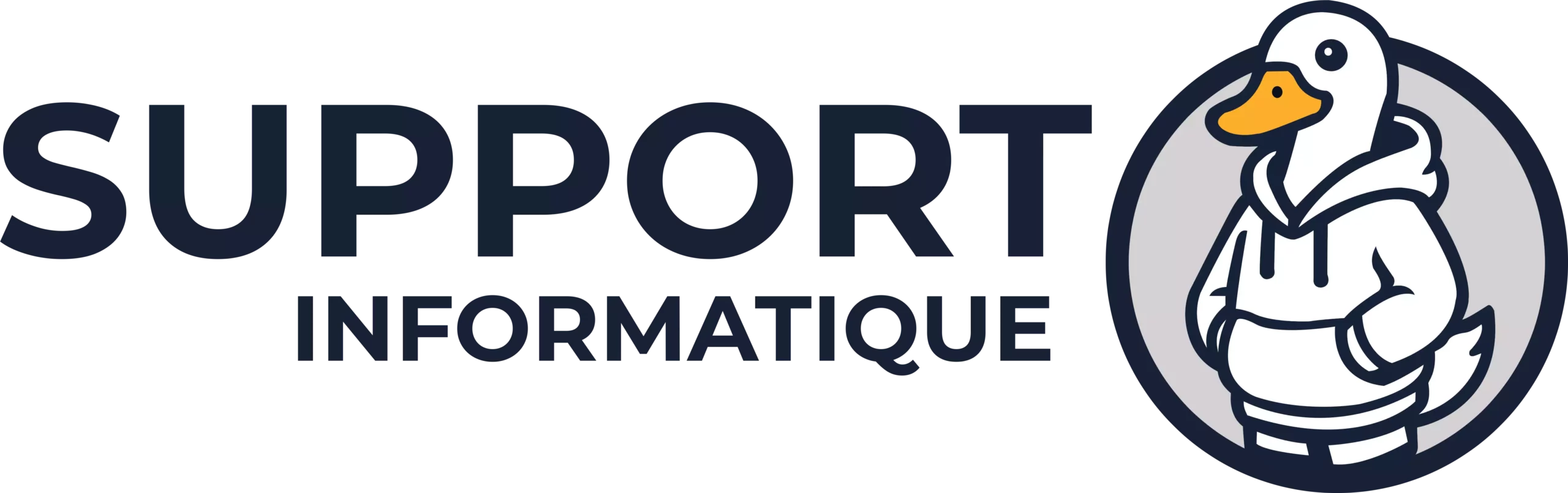 DuckHelp : Assistance et dépannage informatique pour particuliers et indépendants