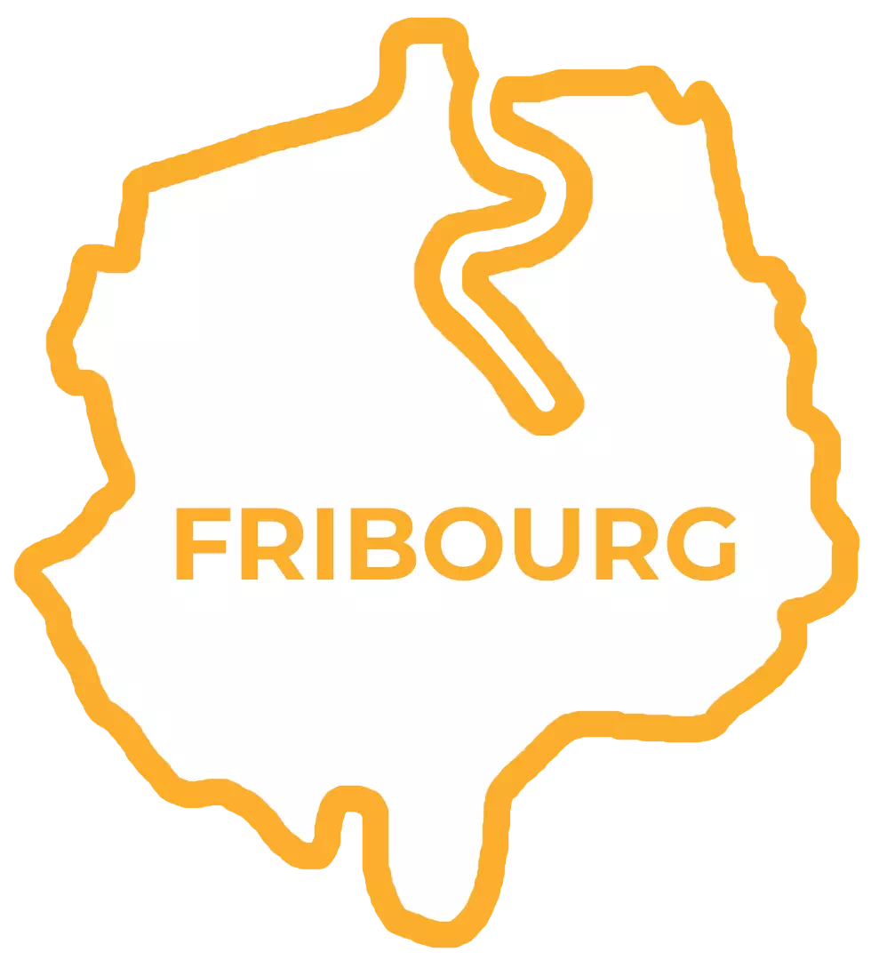 Support informatique à Fribourg