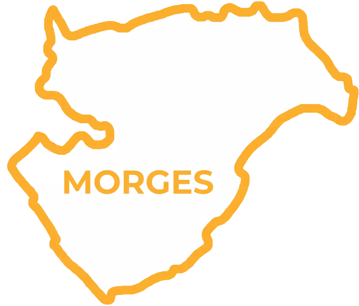 Support informatique à Morges